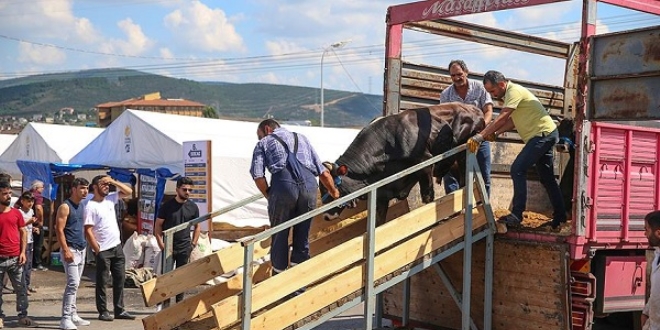 stanbul'da kurban satlar balad