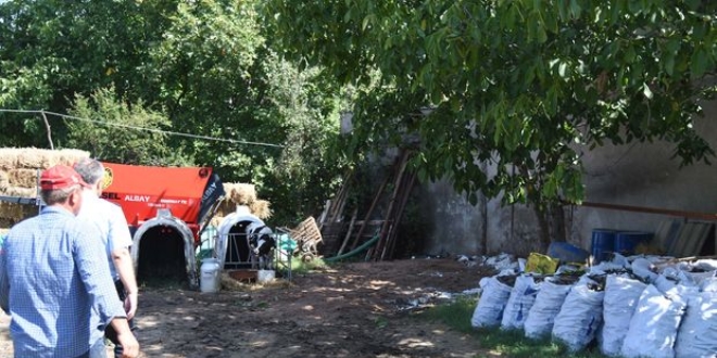 Balkesir'de besici kurbanlklar ar eksin diye dkda bekletti