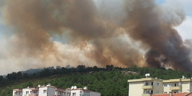 Pendik Aydos ormanlarnda yangn meydana geldi