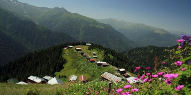 Ziyareti yad! Akn akn oraya gittiler