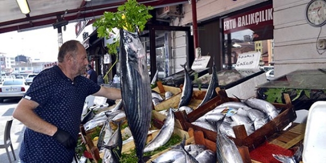 Karadeniz'de balklarn ana 1 metrelik torik takld