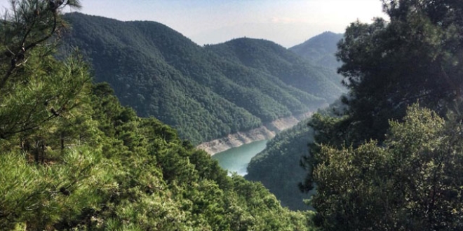 zmir'de terapi gibi yry yolu