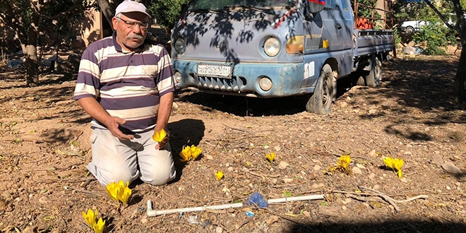 Emekli retmen, bahesinde yetitirip doada ekiyor