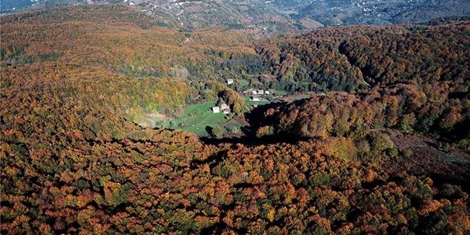 Kastamonu'da sonbahar renklerinin grsel leni