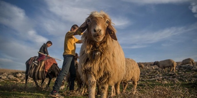 134 krsal kalknma projesine 92 milyon lira hibe