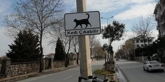 Srclere 'Kedi kabilir' levhalaryla uyar