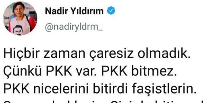 HDP'li vekil PKK ile tehdit etti