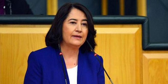 HDP'li Pekgzeg Meclis Bakan aday oldu