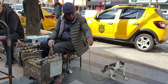 Boyacyla kedinin dostluu grenleri imrendiriyor