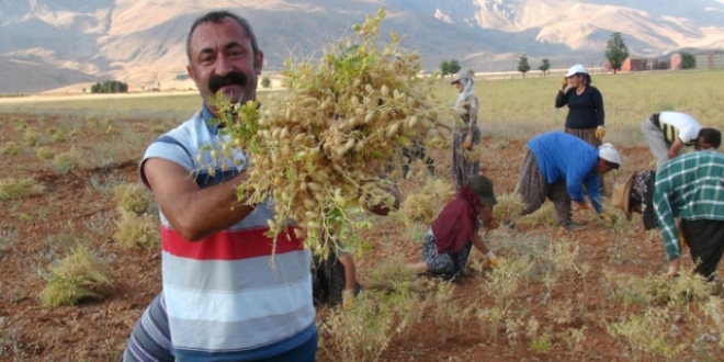 TKP ilk defa il belediyesi kazanyor