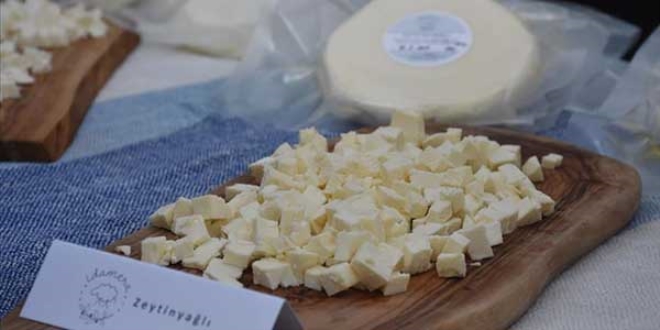 Bodrum'da Uluslararas Peynir Festivali