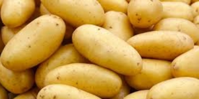 Patateste 'sfr gmrk vergisi' uygulamas uzatld