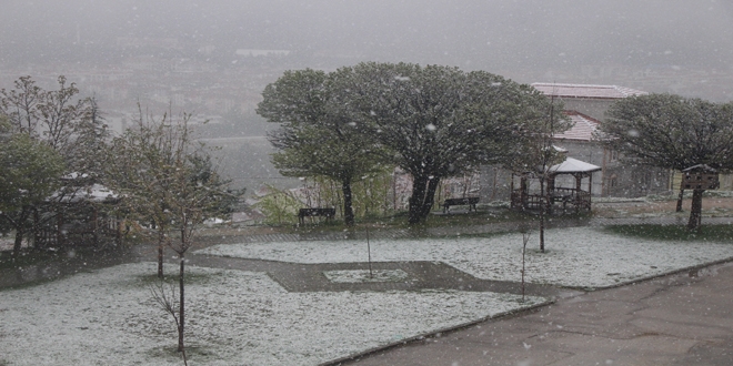 Amasya'ya lapa lapa kar yad