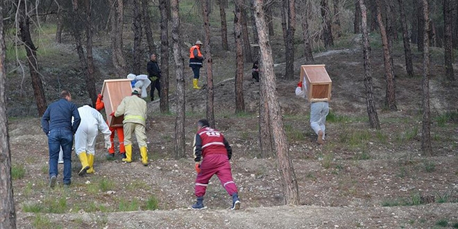 Krmz karncalar 'yeni grev yerlerine' tand