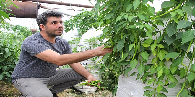 Elektrik mhendisi, serasnda 'uval'la para kazanyor