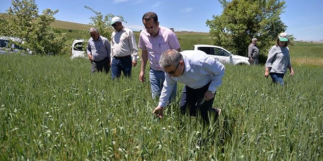 Kayseri'de Tarm personelin izinleri iptal edildi