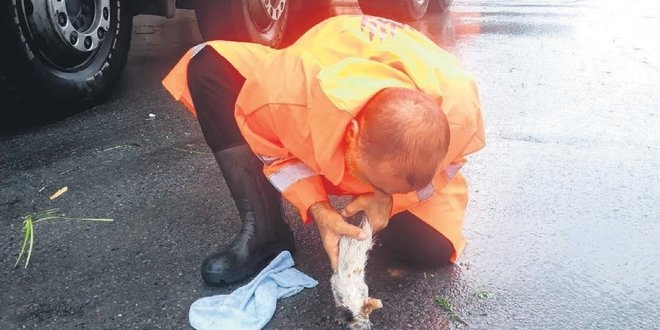 Yavru kediyi kurtaran belediye iisi: O an aklma torunum geldi