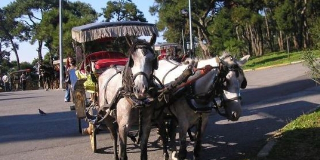 zmir'in o ilesinde faytonlarn kullanm yasakland