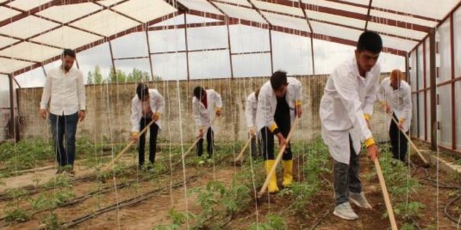 renciler hem reniyor hem gelir elde ediyor