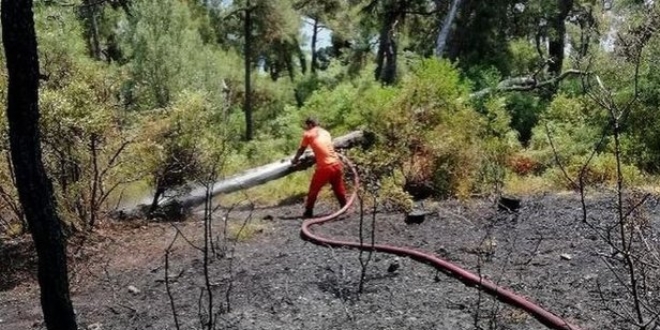 Heybeliada'da orman yangn kt, mdahale ediliyor