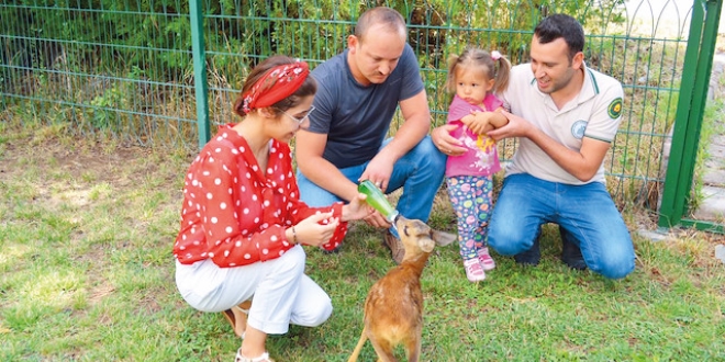 rencilere tatilde i deneyimi