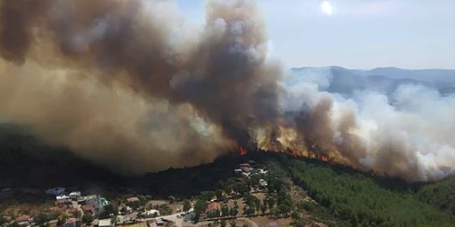 Bodrum'daki orman yangn kontrol altna alnd