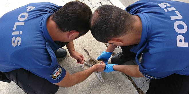 Polis memurlarndan alklanacak hareket