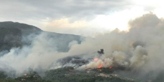 Hatay'daki orman yangn kontrol altna alnd