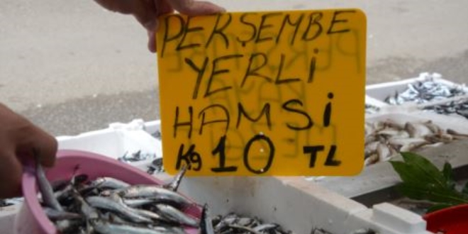 Denizde hamsi bereketi, kilosu 10 liraya dt