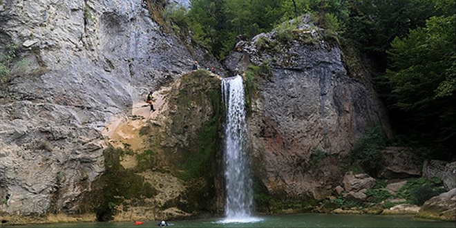 Karadeniz'in 'sakl gzellii' Ilca elalesi