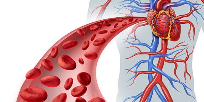 'Kalp damar hastalklar riski yzde 90 azaltlabilir'