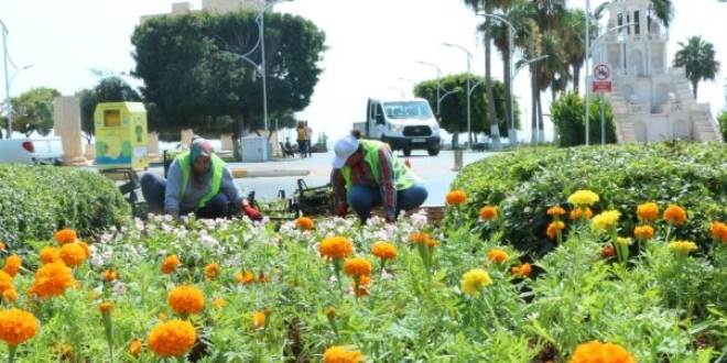 Mersin Bykehir, 100 kadn istihdam edecek