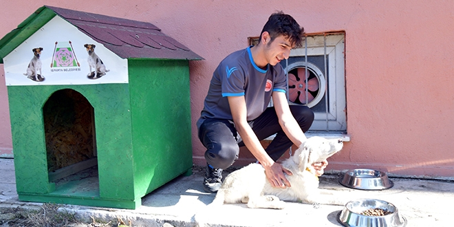 Bakan Seluk'un ars karlk buldu, okullar hayvan sahipleniyor