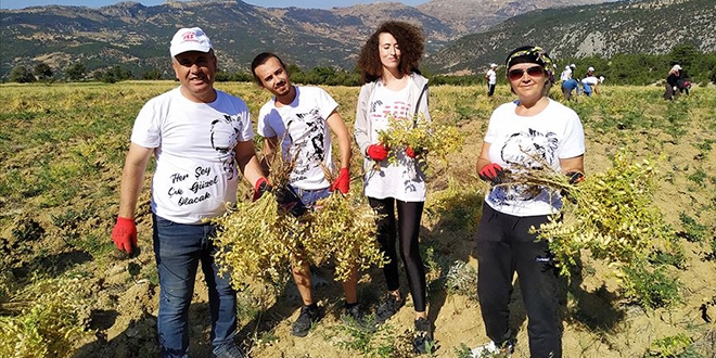 Bo araziye ekilen nohutun geliri rencilere 'burs' olacak