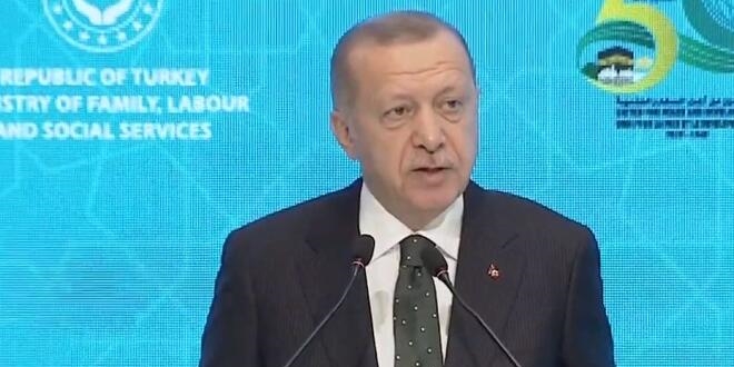 Cumhurbakan Erdoan'dan Macron'a tepki