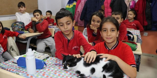 Okul mdrnn sahiplendii kedi, rencilerin neesi oldu