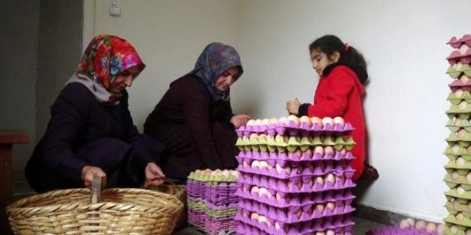 Kz iin balad, 10 bin tavuklu iftlik kurdu