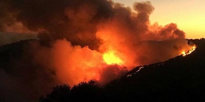 PKK'nn yangn yalan ortaya kt