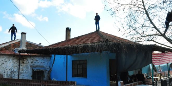 ebeke avcs vatandalar, cambazlar aratmyor