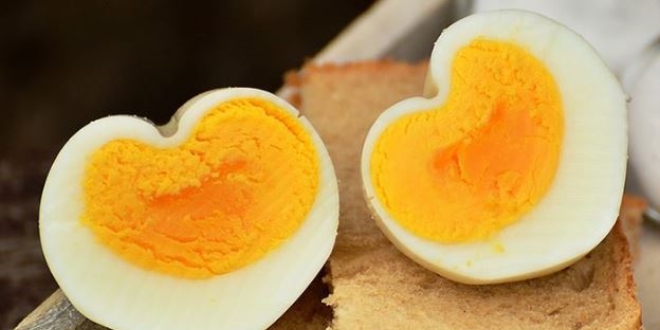 Gnde bir yumurta kalp hastal riskini artrmyor