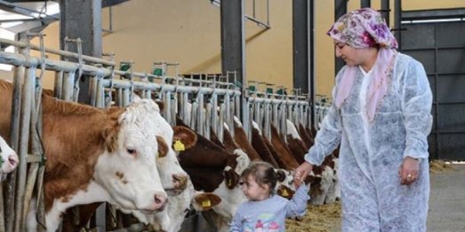 Bileziklerini satarak balad, milyonluk tesis kurdu