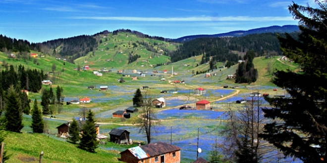 Koronavirs nedeniyle 'Mor Yayla'ya ziyareti yasa