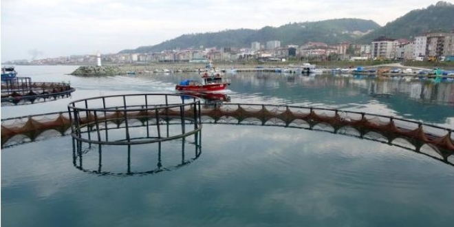 Karadeniz'de av sezonu bitti, kltr balklna ilgi artt