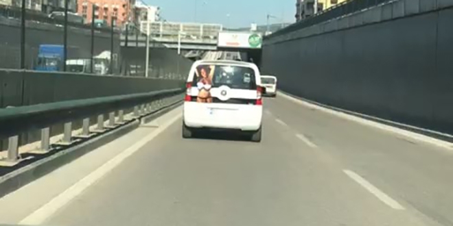 Trafikte mstehcen harekete gzalt