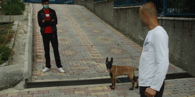 Polis, alnan kpei 160 kilometre iz srerek buldu