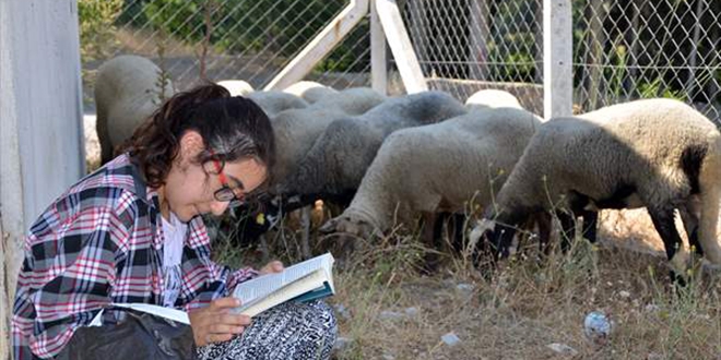 'Kitap kurdu Suzan' bir elinde kitap bir elinde denek koyun gdyor