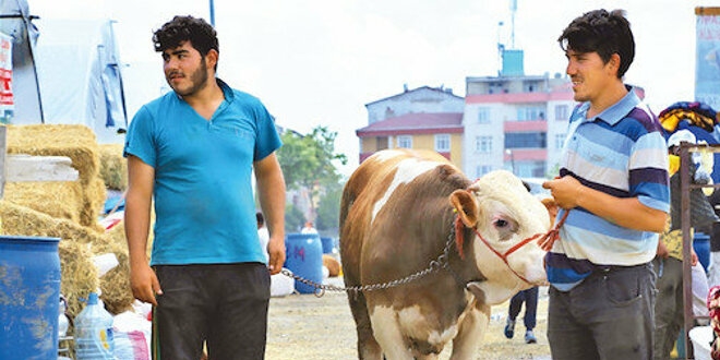 Salgna ramen kurban pazarlar doldu