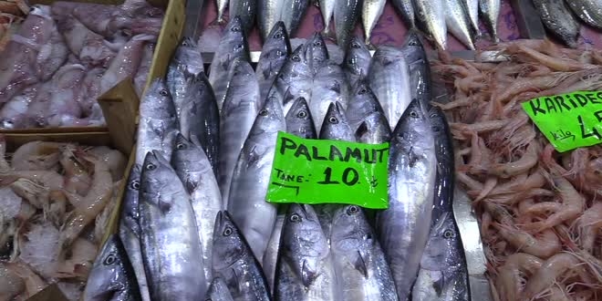 'Denizin kırmızı etli balığı' palamut 10 liradan tezgahlarda