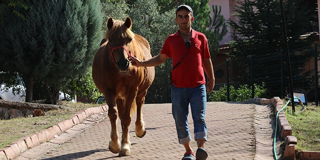 Furkan'n hayata baland okulu ekmek kaps oldu