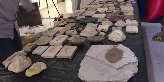 Adnan Oktar rgt evinde fosil ele geirildi
